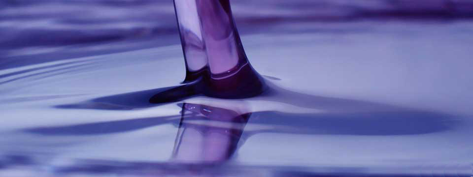 lavanda4slider